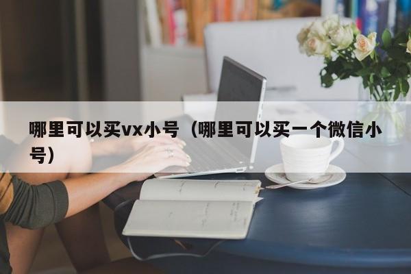 哪里可以买vx小号（哪里可以买一个微信小号）