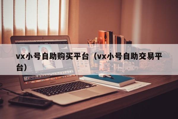 vx小号自助购买平台（vx小号自助交易平台）