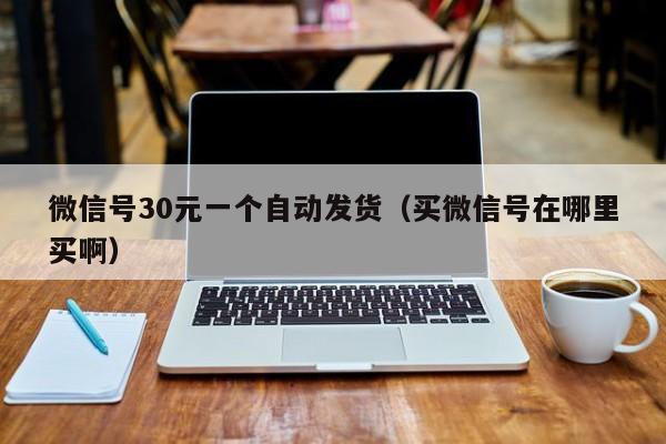 微信号30元一个自动发货（买微信号在哪里买啊）