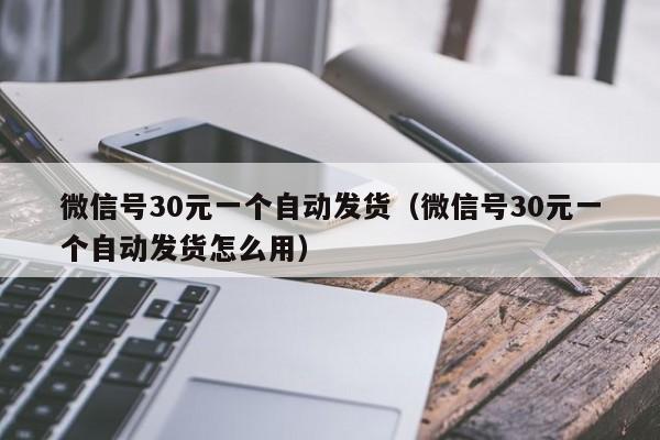 微信号30元一个自动发货（微信号30元一个自动发货怎么用）