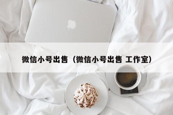 微信小号出售（微信小号出售 工作室）