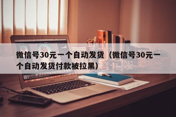 微信号30元一个自动发货（微信号30元一个自动发货付款被拉黑）