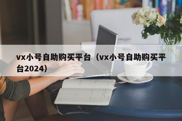 vx小号自助购买平台（vx小号自助购买平台2024）