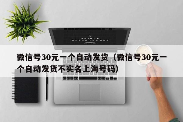 微信号30元一个自动发货（微信号30元一个自动发货不实名上海号码）